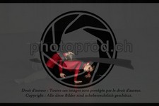 ref. photo 3631593
