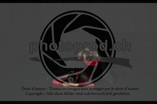 ref. photo 3631627