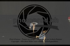 ref. photo 3631695