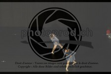 ref. photo 3631696