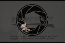 ref. photo 3631883