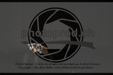 ref. photo 3631884