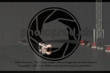 ref. photo 3631895