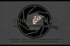 ref. photo 3631903