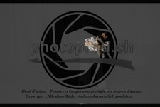 ref. photo 3631918
