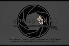 ref. photo 3631931