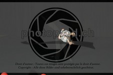 ref. photo 3631933