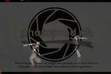 ref. photo 3632270