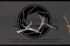 ref. photo 3632318