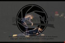 ref. photo 3632426