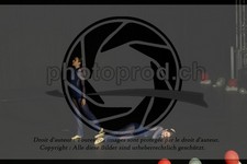 ref. photo 3632427