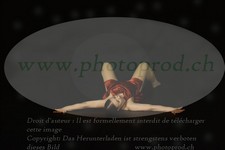 ref. photo 3171151