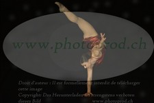 ref. photo 3171153
