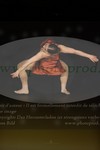 ref. photo 3171175