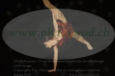 ref. photo 3171185