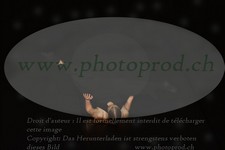 ref. photo 3171217