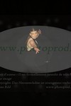 ref. photo 3171246