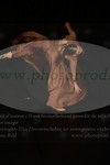 ref. photo 3171274