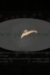 ref. photo 3171299