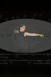 ref. photo 3171300