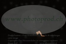 ref. photo 3171323