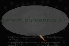 ref. photo 3171356