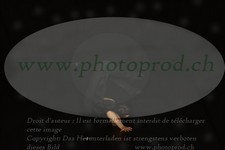 ref. photo 3171393