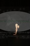 ref. photo 3171398