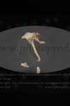 ref. photo 3171415
