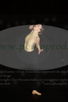 ref. photo 3171481