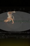 ref. photo 3171579