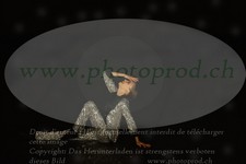ref. photo 3171618