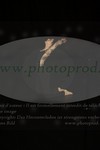 ref. photo 3171704
