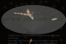 ref. photo 3171712