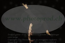 ref. photo 3171737