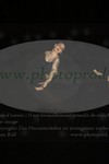 ref. photo 3171749