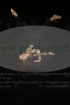 ref. photo 3171772