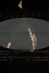 ref. photo 3171776