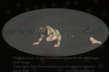 ref. photo 3171780