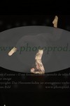 ref. photo 3171786