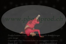 ref. photo 3171799