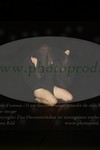 ref. photo 3172087