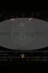 ref. photo 3172144
