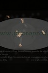 ref. photo 3172157