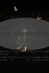 ref. photo 3172166