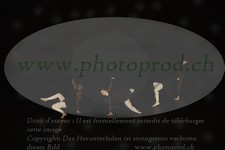 ref. photo 3172478