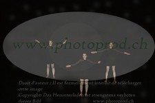 ref. photo 3172506