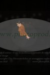 ref. photo 3172756