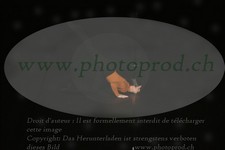 ref. photo 3172817