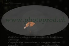 ref. photo 3172821